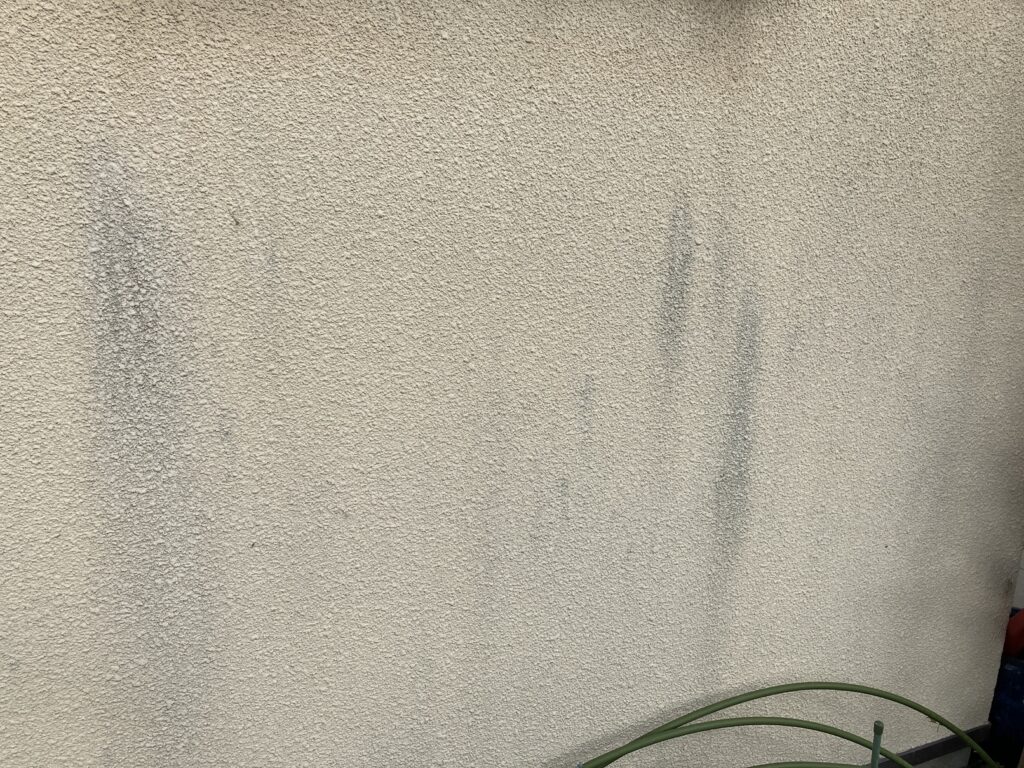 リシンの玉吹き仕上げの外壁